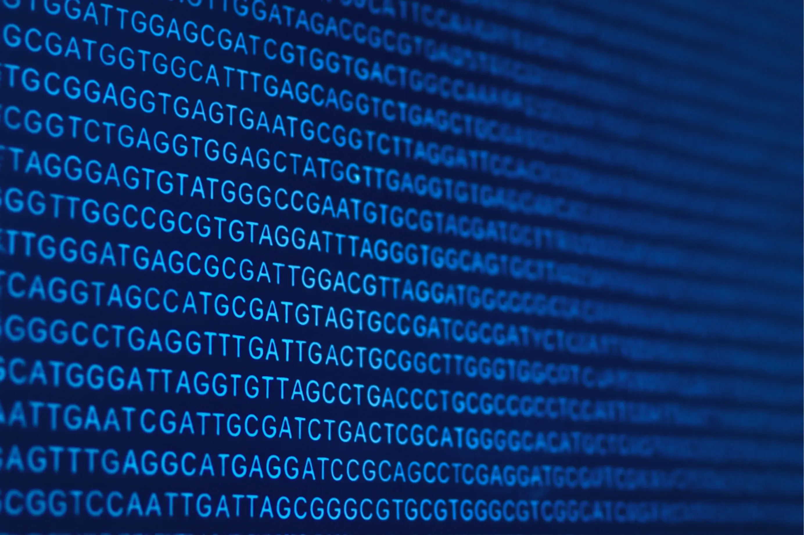 صورة المجهر